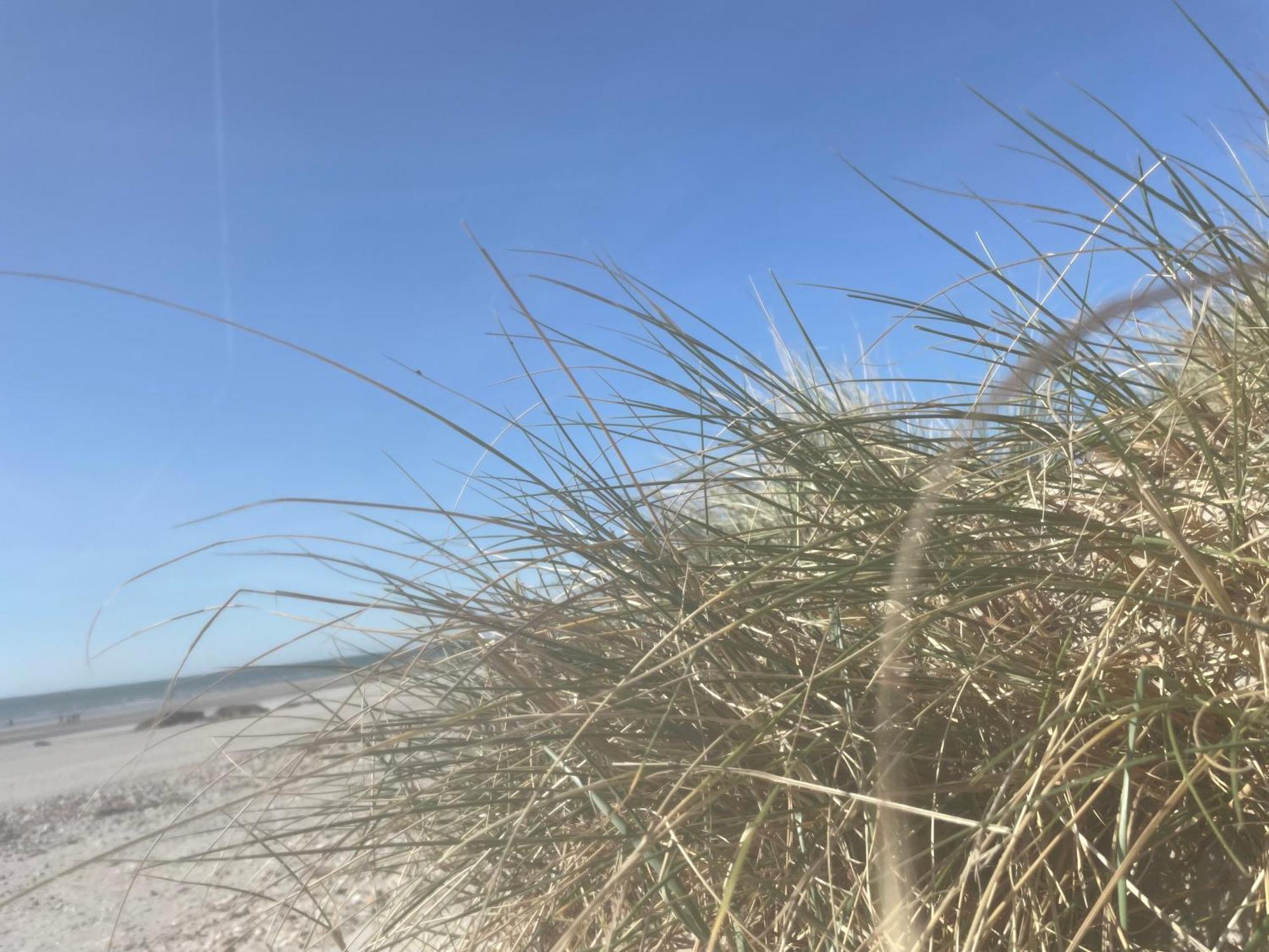 Vue Mer, Golfe Et Dunes- Residence Dunes Du Golfe Wimereux Dış mekan fotoğraf